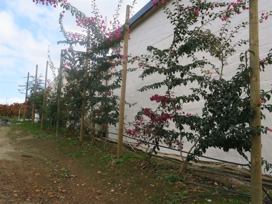 0 Bedroom Property for Sale in Bot River Western Cape